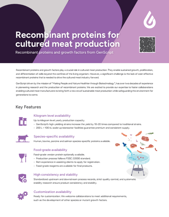Recombinant proteins and growth factors