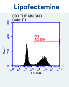 Delivery of eGFP mRNA into THP-1 Cells 