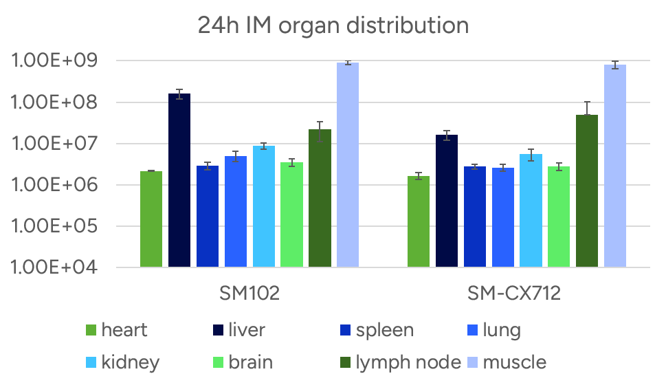 24h IM organ distribution 