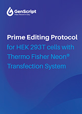 Prime Editing Protocol for HEK293T cells with Thermo Fisher Neon® Transfection System
