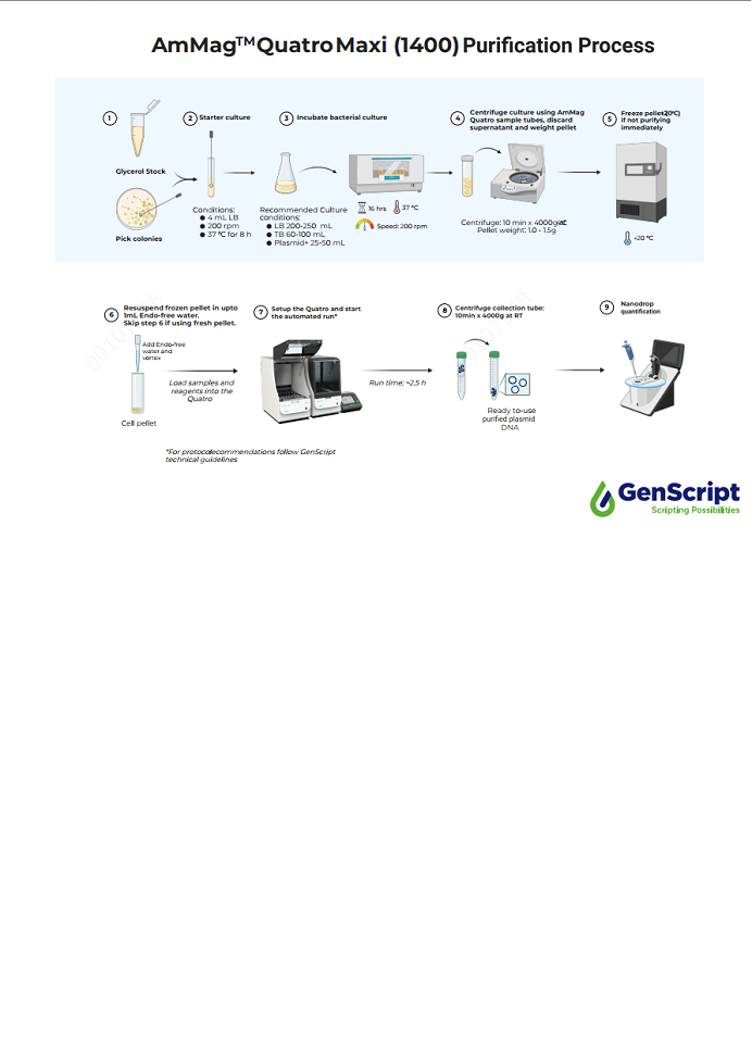 GenScript’s AmMag™ Quatro Brochure