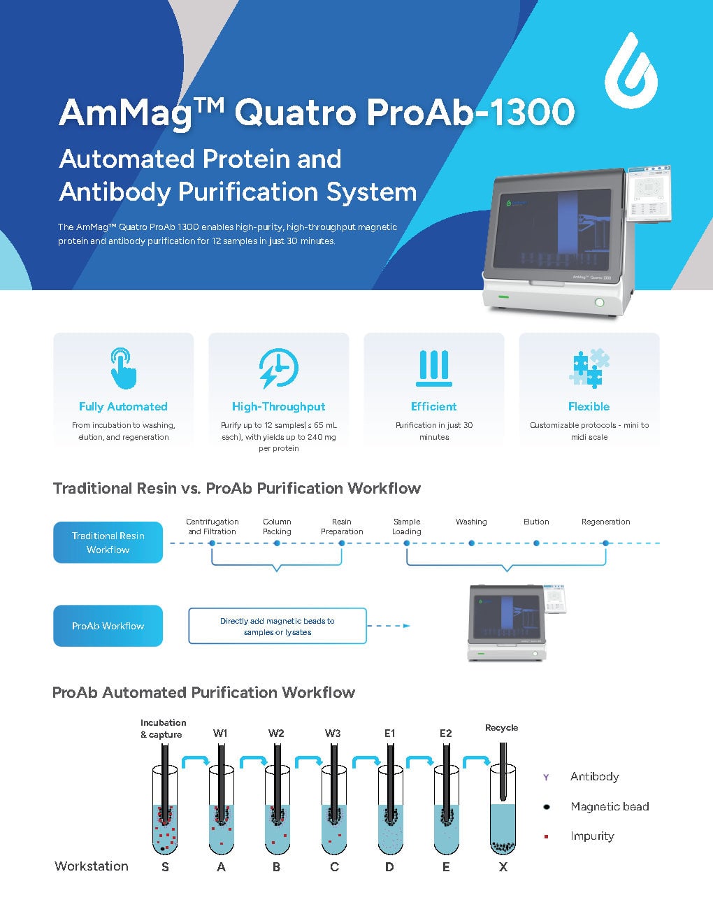 AmMag™ Quatro ProAb Flyer