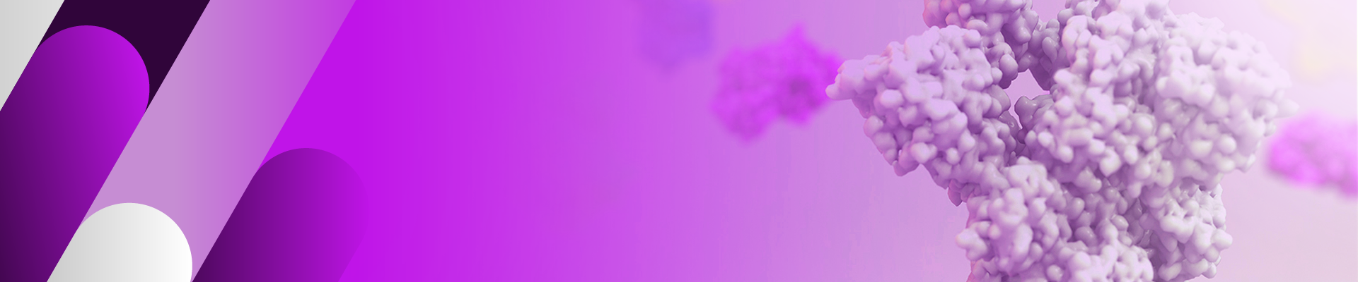 Catalog Recombinant Proteins