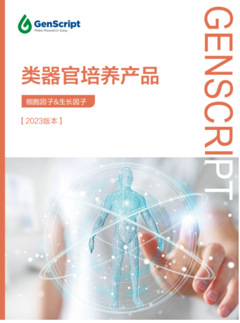 类器官培养产品